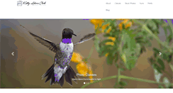 Desktop Screenshot of kathyadamsclark.com